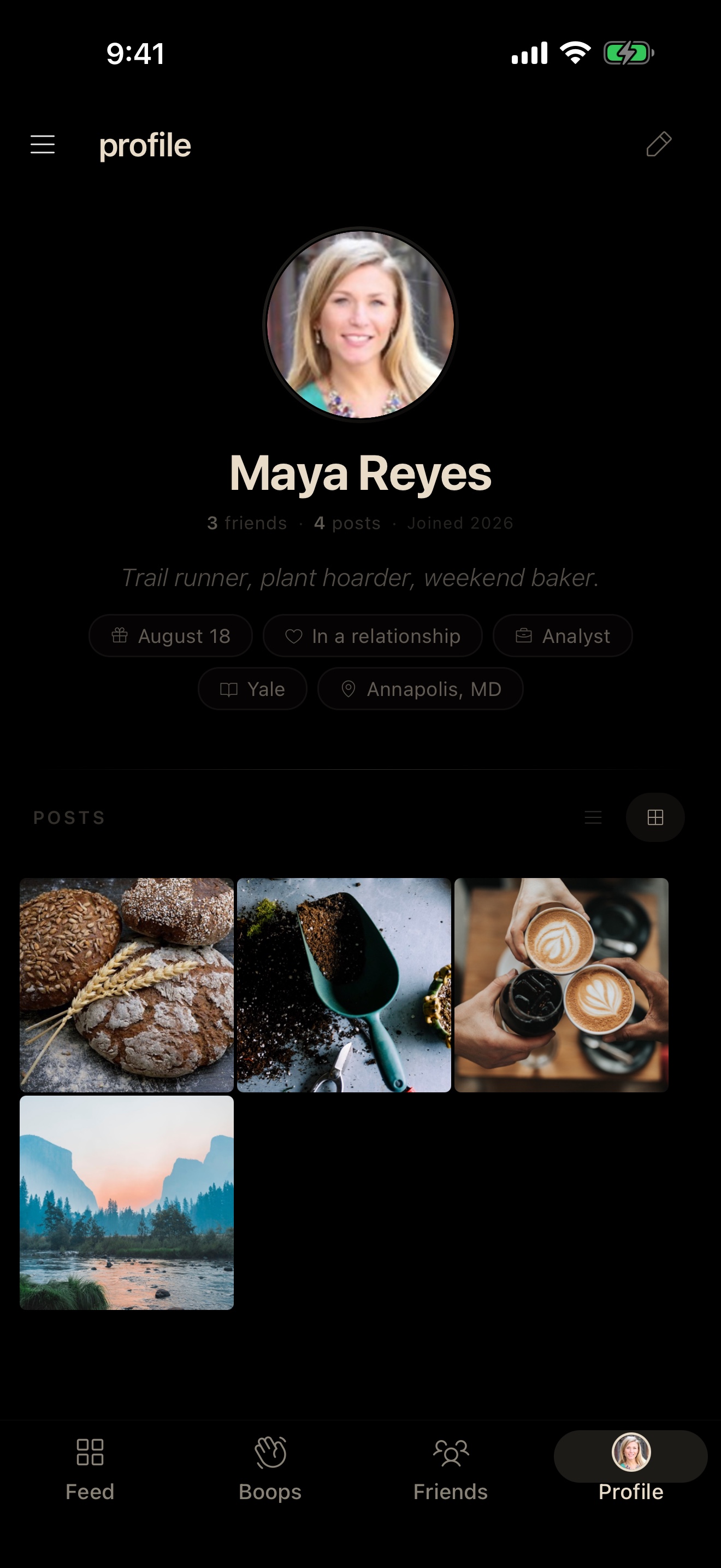 boopr profile screen with bio and post grid